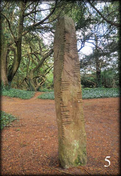 Ogham Stone 5